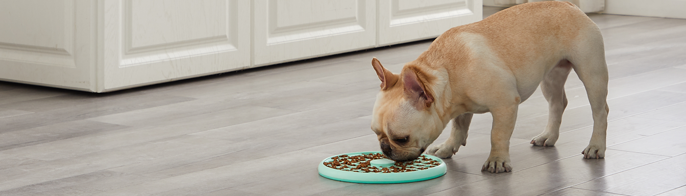 OUTWARD HOUND Puppy Lickin' Layers Slow Feeder for Puppies