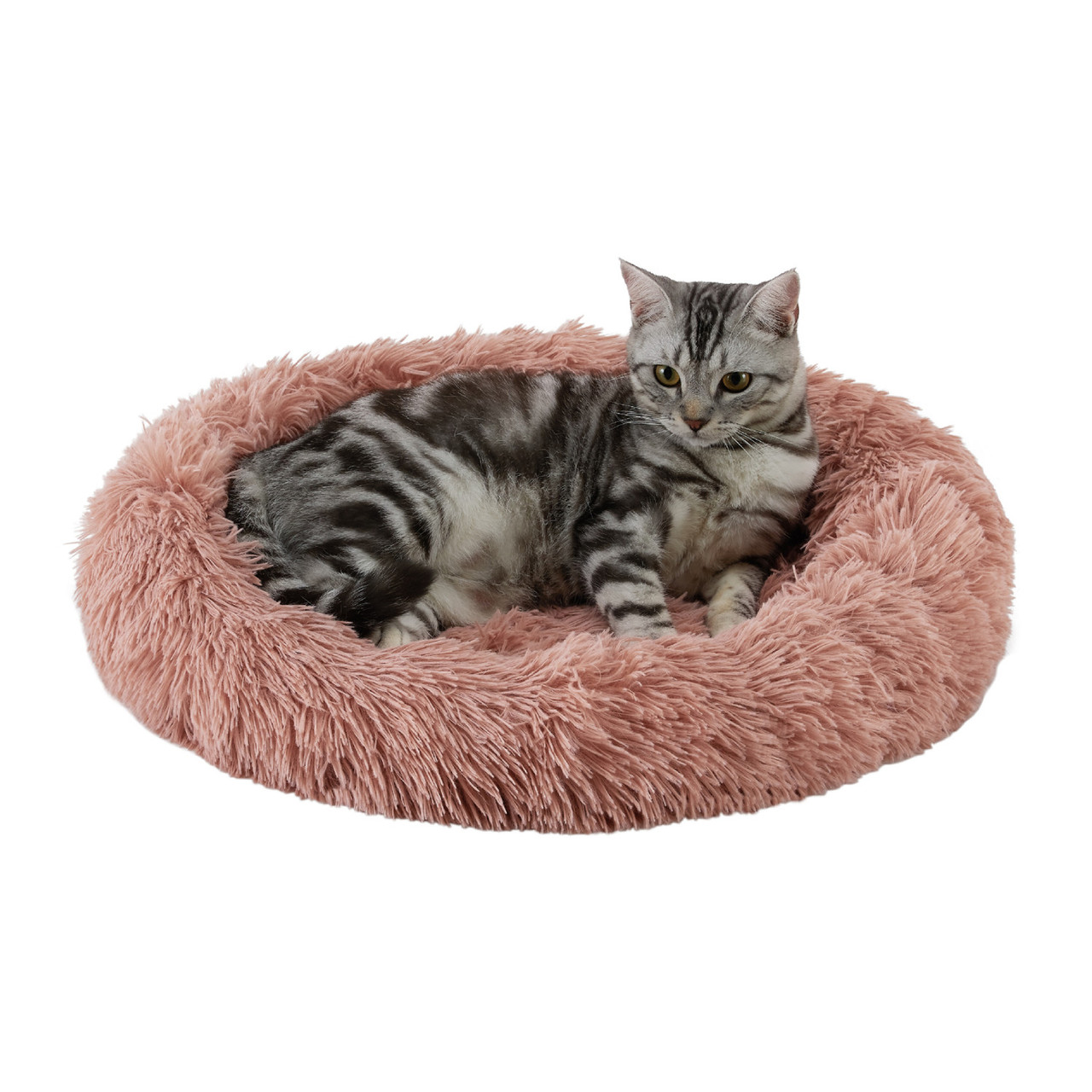 Product image for Calming Oval Cat Bed Pad, Dusty Rose, 21X19