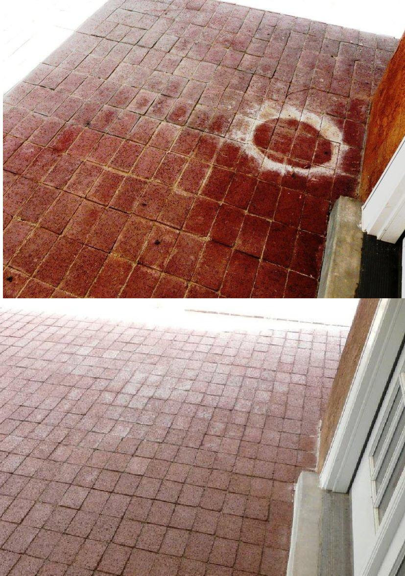 F9 Efflorescence/Calcium Remover Front9 Restoration - J Racenstein