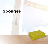 Sponges