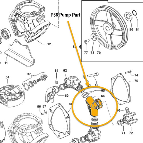 J.Racenstein Comet P36 Hose Adapter P36 OUTLET COUPLING, technical diagram showing the hose adapter with detailed components and parts.