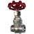 ProTool Valve 1/2in Stainless Steel Gate Valve ProTool, a metal valve with a red handwheel for controlling water flow.