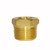 ProTool Bushing Hex 3/4in X 1/2in Brass, close-up image of a brass hex bushing with threaded ends and hexagonal exterior for installing or removing with a wrench.