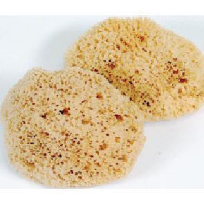 J.Racenstein Mediterranean Natural Sea Sponge, two natural sea sponges with a honeycomb texture for skincare and bathing.