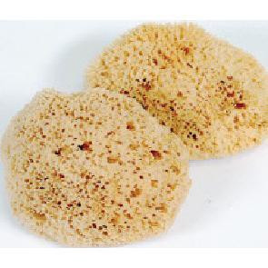 Mediterranean Natural Sea Sponge