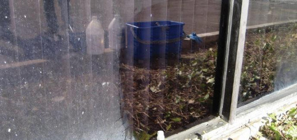 ProTool Pro Hard Water Stain Remover Qt, cleaning solution bottle near a glass window with water stains