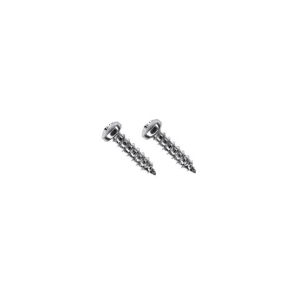 J.Racenstein Gardiner Screws 19mm for Sill Brush Pair, stainless steel screws designed for securing sill brushes, shown in close-up view.