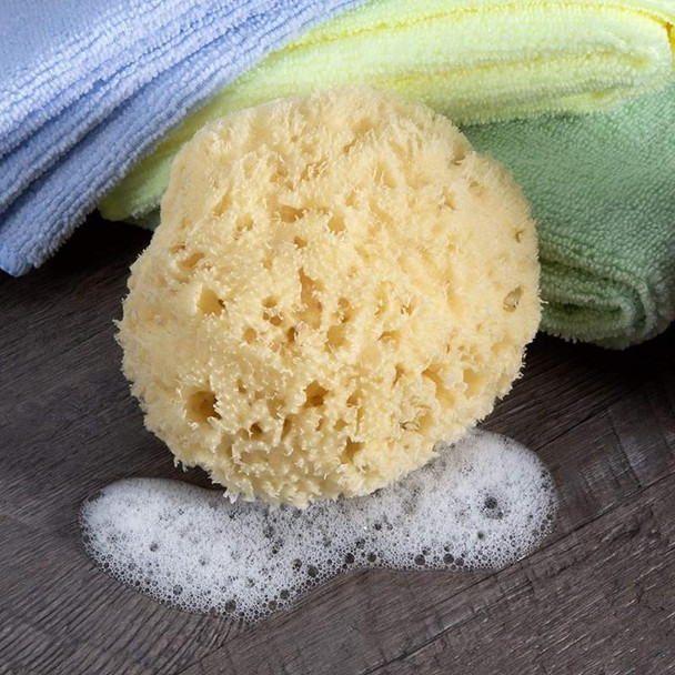 J.Racenstein Florida Natural Sea Sponge, soft and natural exfoliating sponge on wooden surface with foam and colorful towels in the background.