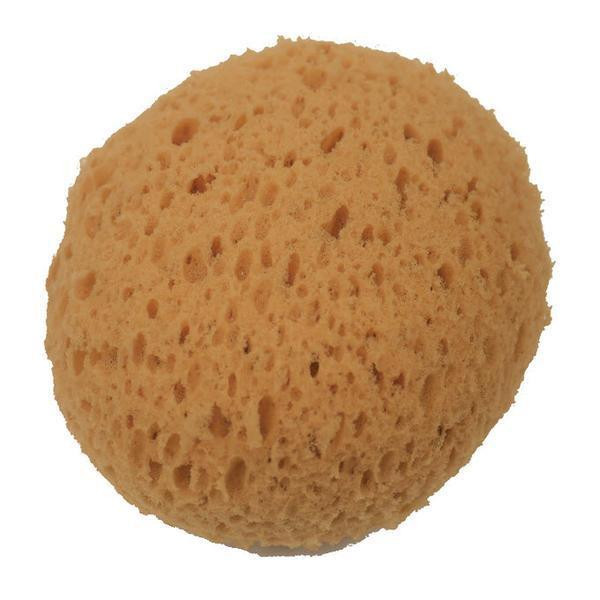 ProTool Sponge Synthetic Copal, beige round cleaning sponge with porous surface for abrasive cleaning.