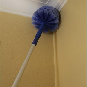 Ettore Brush Cobweb with click lock feature, blue brush head and extendable handle cleaning corner of wall and ceiling.