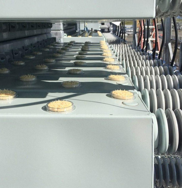 J.Racenstein Bird Barrier Optical Gel, an image of electrical equipment with multiple insulators and gel applied around the base of each insulator.