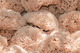 Mediterranean Natural Sea Sponge