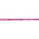 ProTool Apex Trad Pole 12ft, a pink extendable pole with ProTool branding and safety features printed on it.
