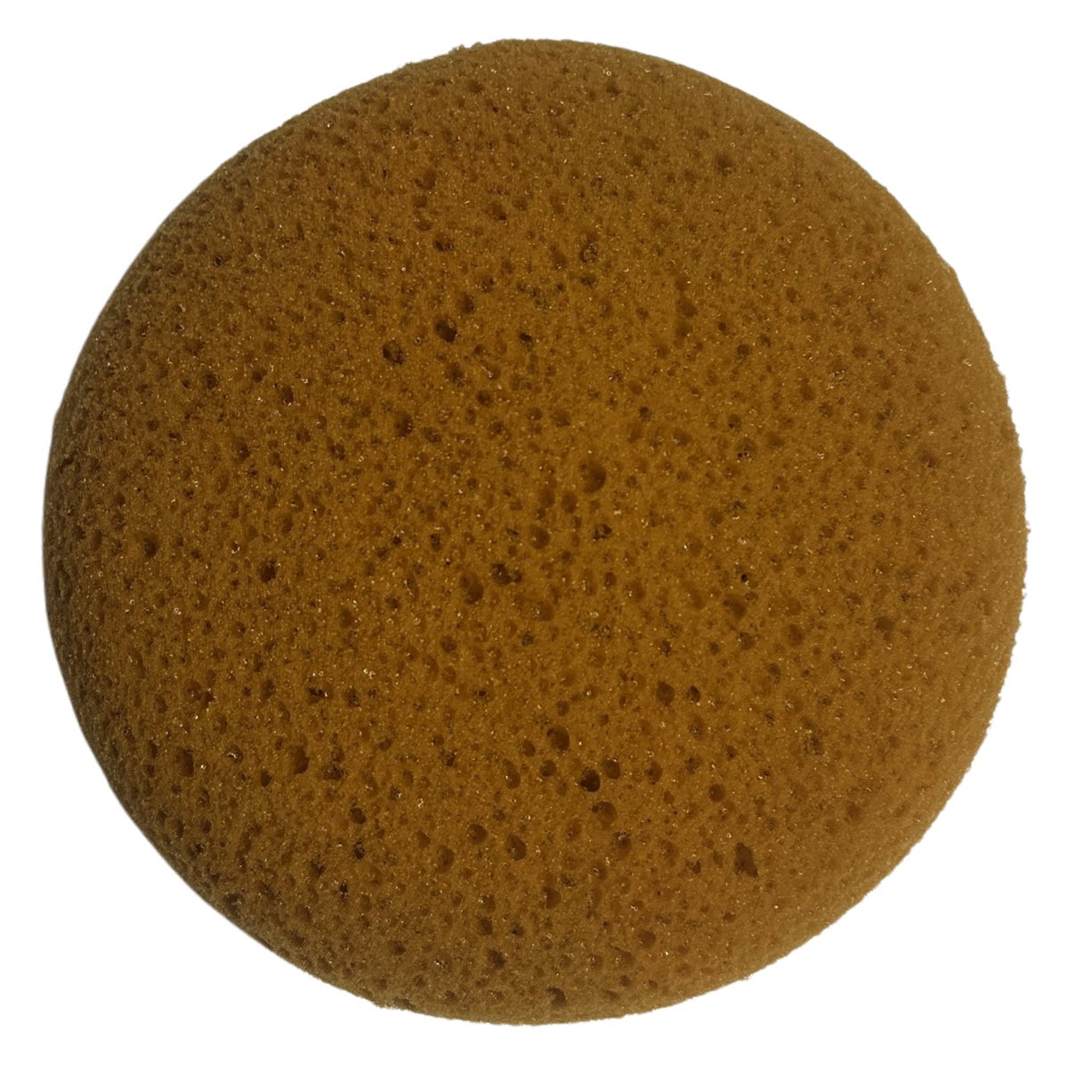 copal-sponge-round-23-11.jpg