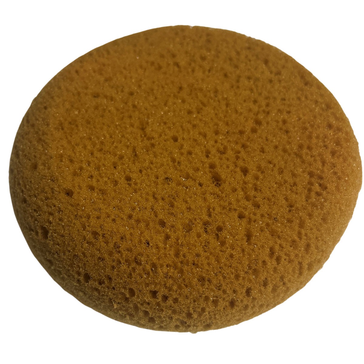 copal-sponge-round-b-23-11.jpg