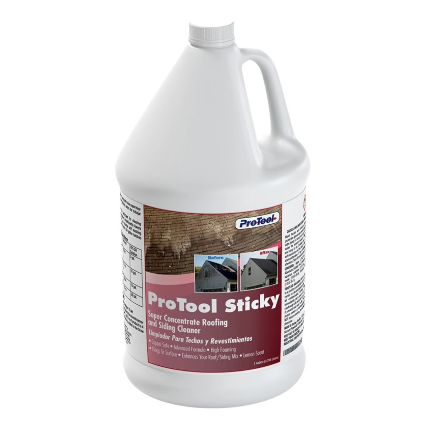House & Roof Wash