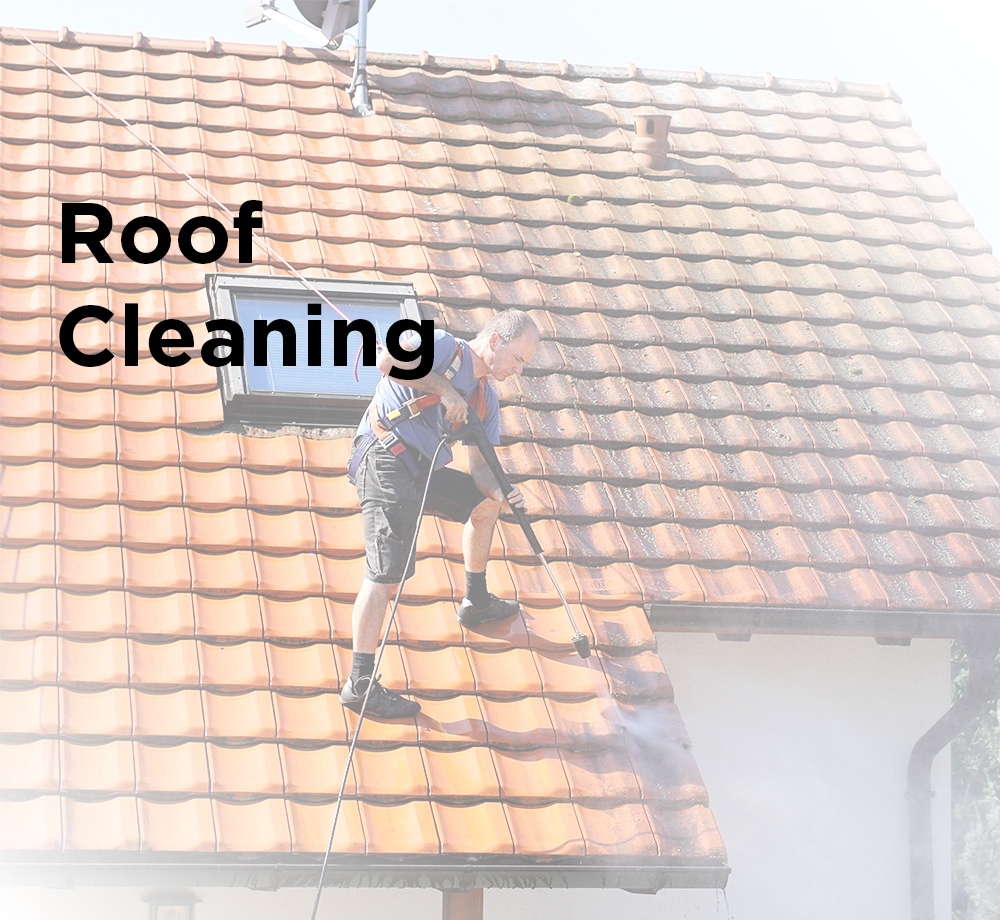 Roof Cleaning Safety