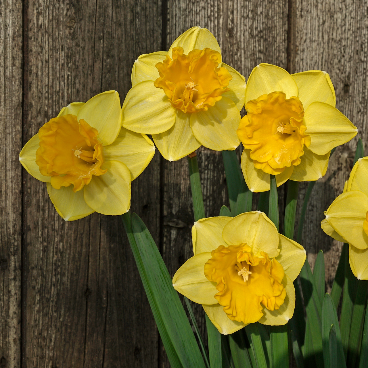 Symbolischer Blick auf einen Casino-Anbieter