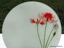 Red Spider Lily design.
These exquisite glass chopping boards sing of heirloom bulbs, while being very utilitarian and decorative in the kitchen!