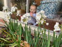 Landscaping Paperwhites Narcissus 'Ziva' -  5 bulbs Landscaping Paperwhites Narcissus 'Ziva' -  5 bulbs