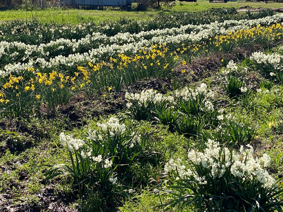 Farm Tour- March 20, 2025