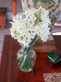 Narcissus tazetta 'Italicus' - 10 bulbs