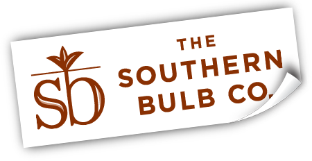 The Southern Bulb Co.