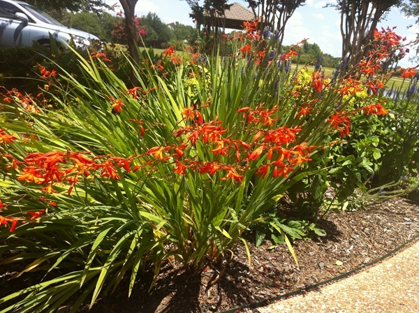 2013-07-09-14.06.58.jpg