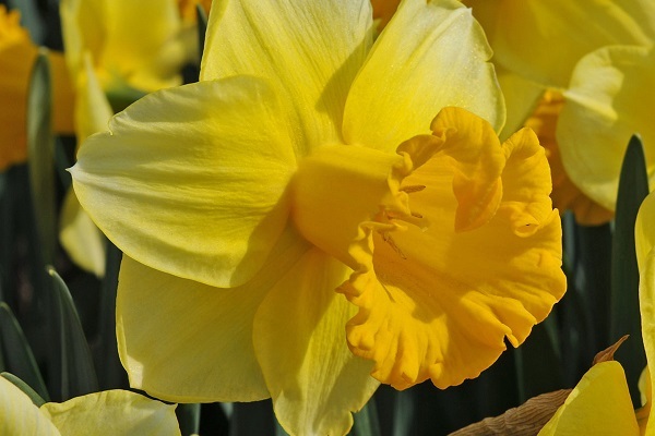 breath-of-spring-600x400.jpg