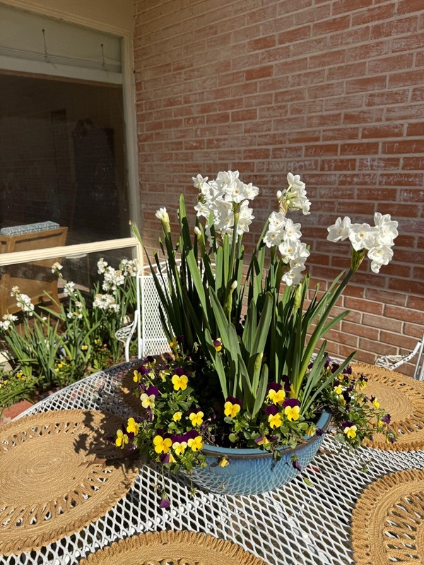 daytime-pot-on-table.jpg daytime-pot-on-table.jpg