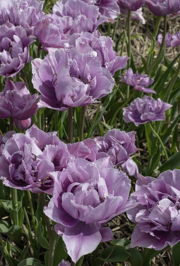 great-barrier-reef-ebr-7707-4-.jpg great-barrier-reef-ebr-7707-4-.jpg