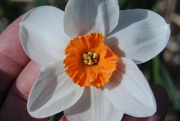 la-riante.jpg la-riante.jpg