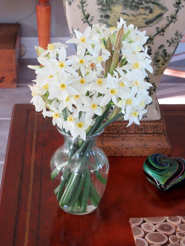 narcissus-tazetta-italicus-bouquet-600-x-800.jpg