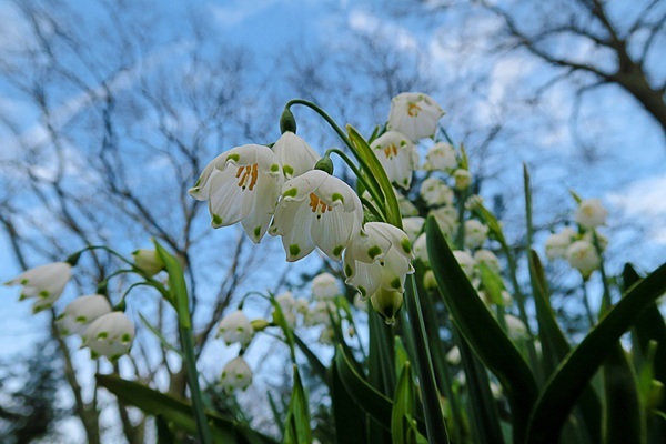 shutterstock-1163116726.jpg shutterstock-1163116726.jpg