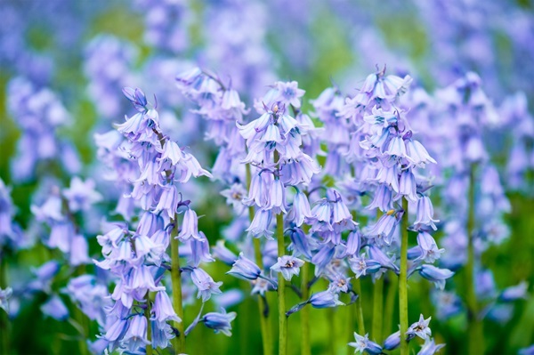 shutterstock-1827373916.jpg