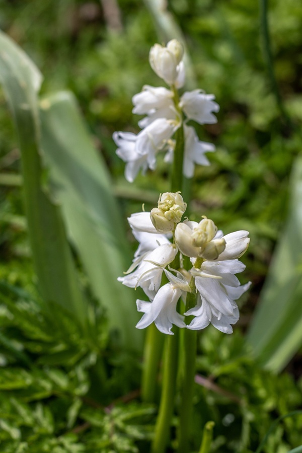 shutterstock-1967697226.jpg shutterstock-1967697226.jpg