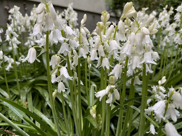 shutterstock-1974588239.jpg shutterstock-1974588239.jpg