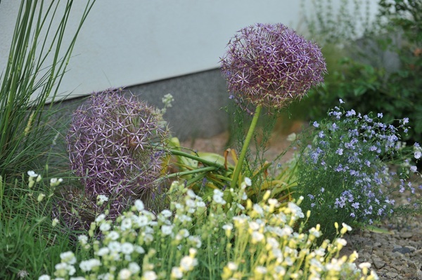 shutterstock-2122348832.jpg shutterstock-2122348832.jpg