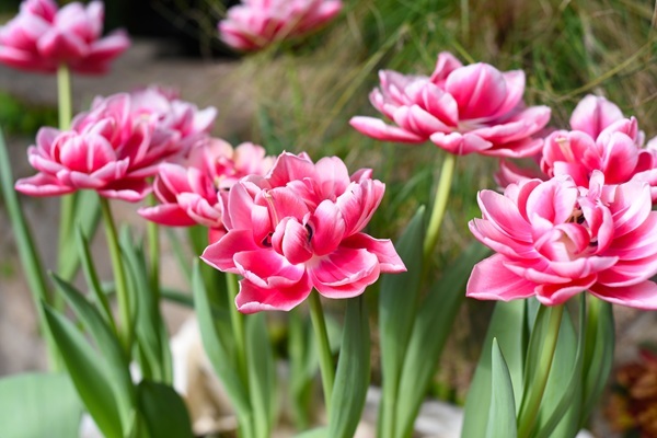 shutterstock-2123474381.jpg shutterstock-2123474381.jpg