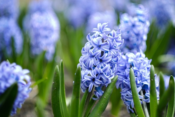 shutterstock-2151275105.jpg shutterstock-2151275105.jpg