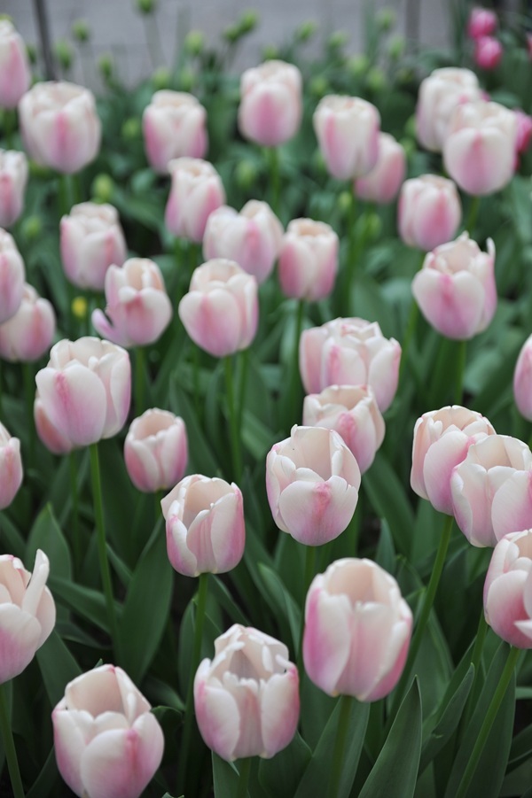 shutterstock-2204639239.jpg shutterstock-2204639239.jpg