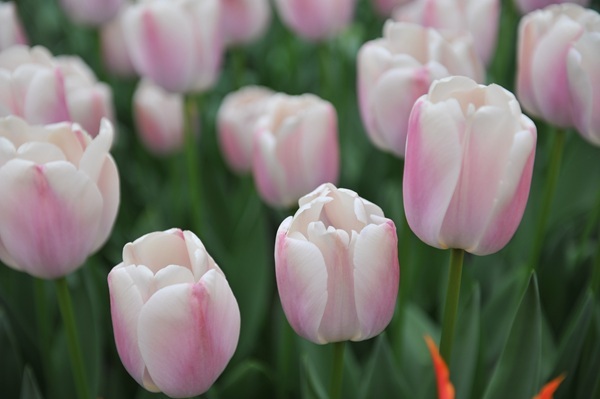 shutterstock-2204639339.jpg shutterstock-2204639339.jpg