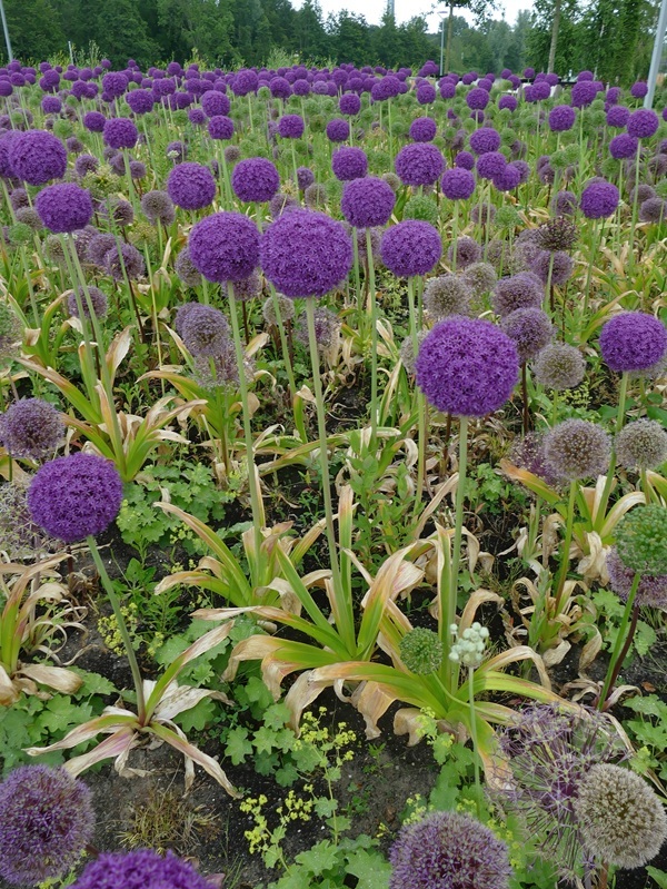 shutterstock-2220296965.jpg shutterstock-2220296965.jpg