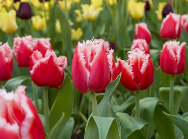 shutterstock-2301475635.jpg shutterstock-2301475635.jpg