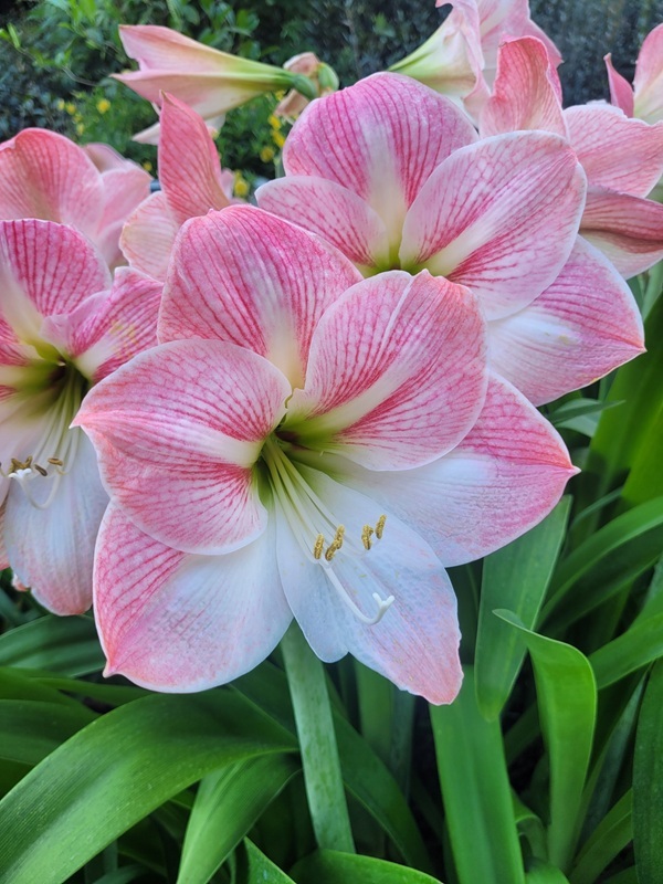 shutterstock-2313093821.jpg shutterstock-2313093821.jpg