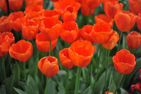 shutterstock-2415675877.jpg shutterstock-2415675877.jpg