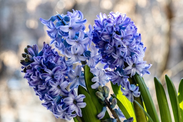 shutterstock-2425547193.jpg shutterstock-2425547193.jpg