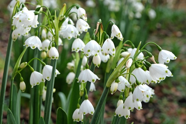 shutterstock-2431327793.jpg shutterstock-2431327793.jpg