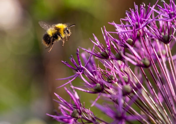 shutterstock-2527611617.jpg shutterstock-2527611617.jpg