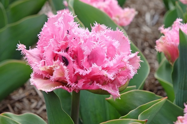 shutterstock-2614254121.jpg shutterstock-2614254121.jpg